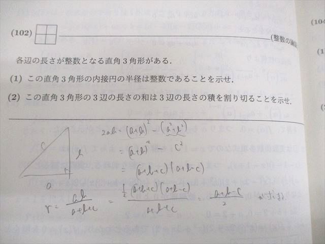 SEG(科学的教育グループ) 受験数学理系F 大学入試基本演習F-III