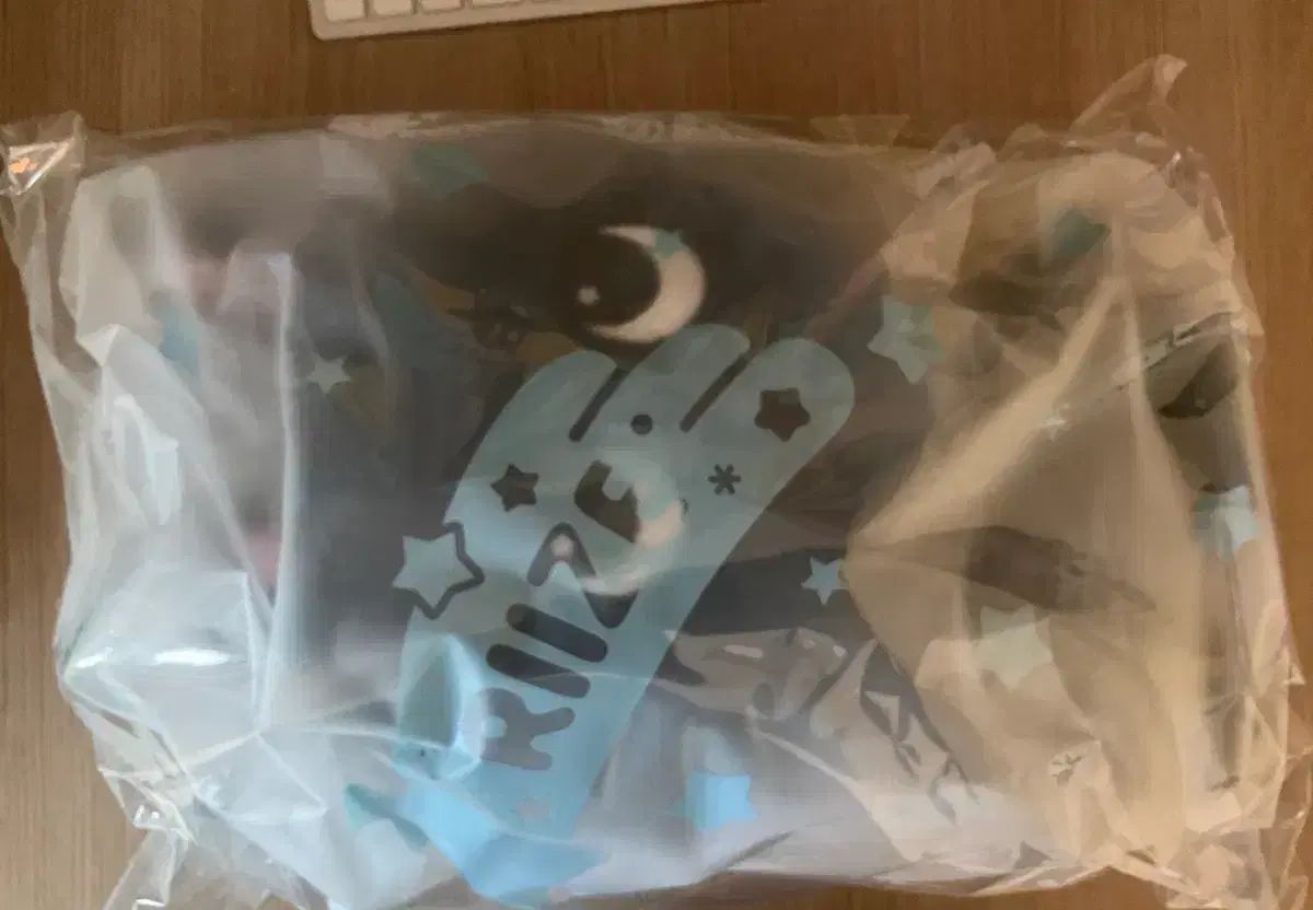 RIIZE ライズ ウォンビン WONBIN トゥーニャンダック 40 cm