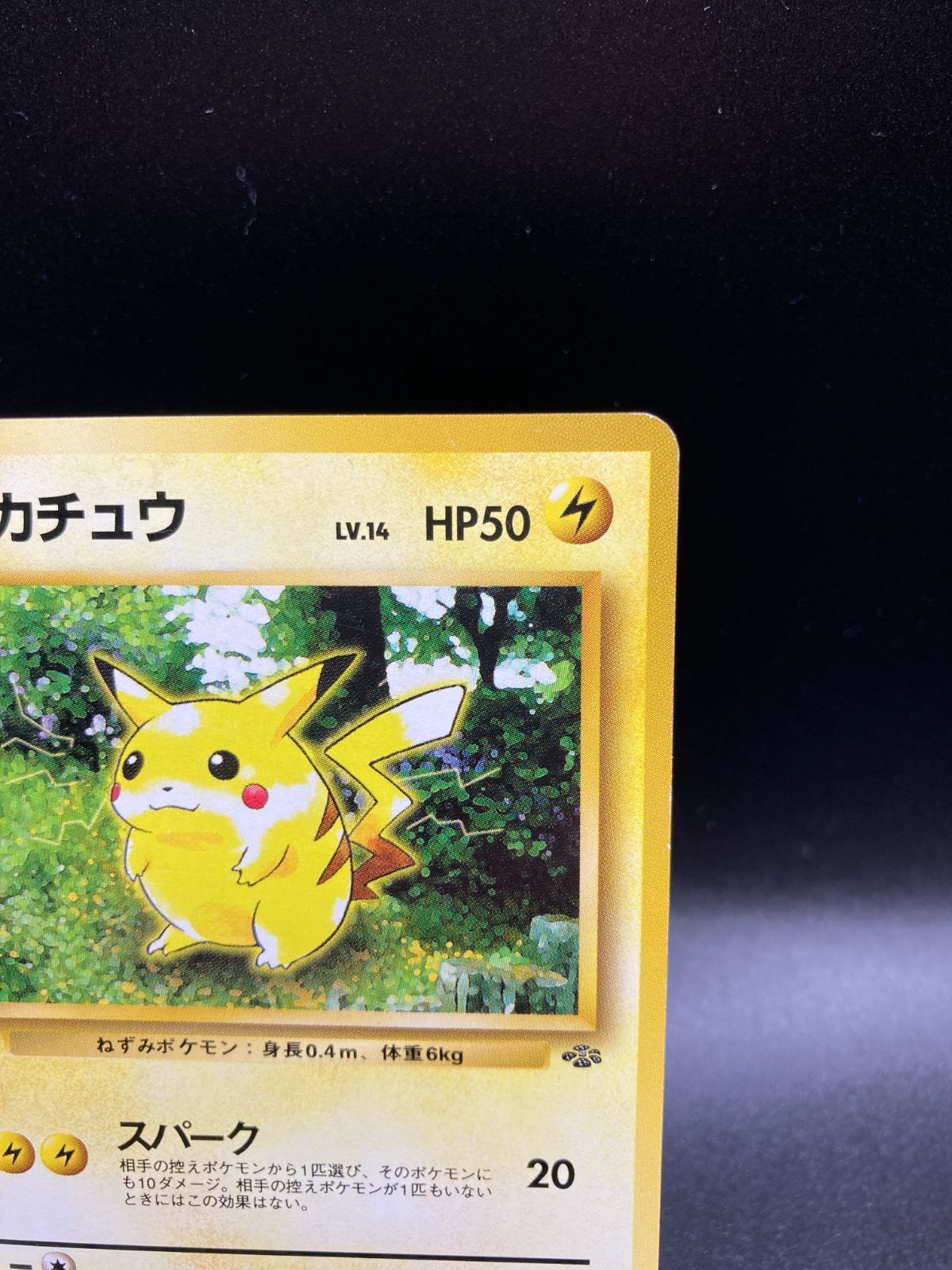 状態ランクB ピカチュウ Pikachu 旧裏 旧裏面 old back 拡張パック第2