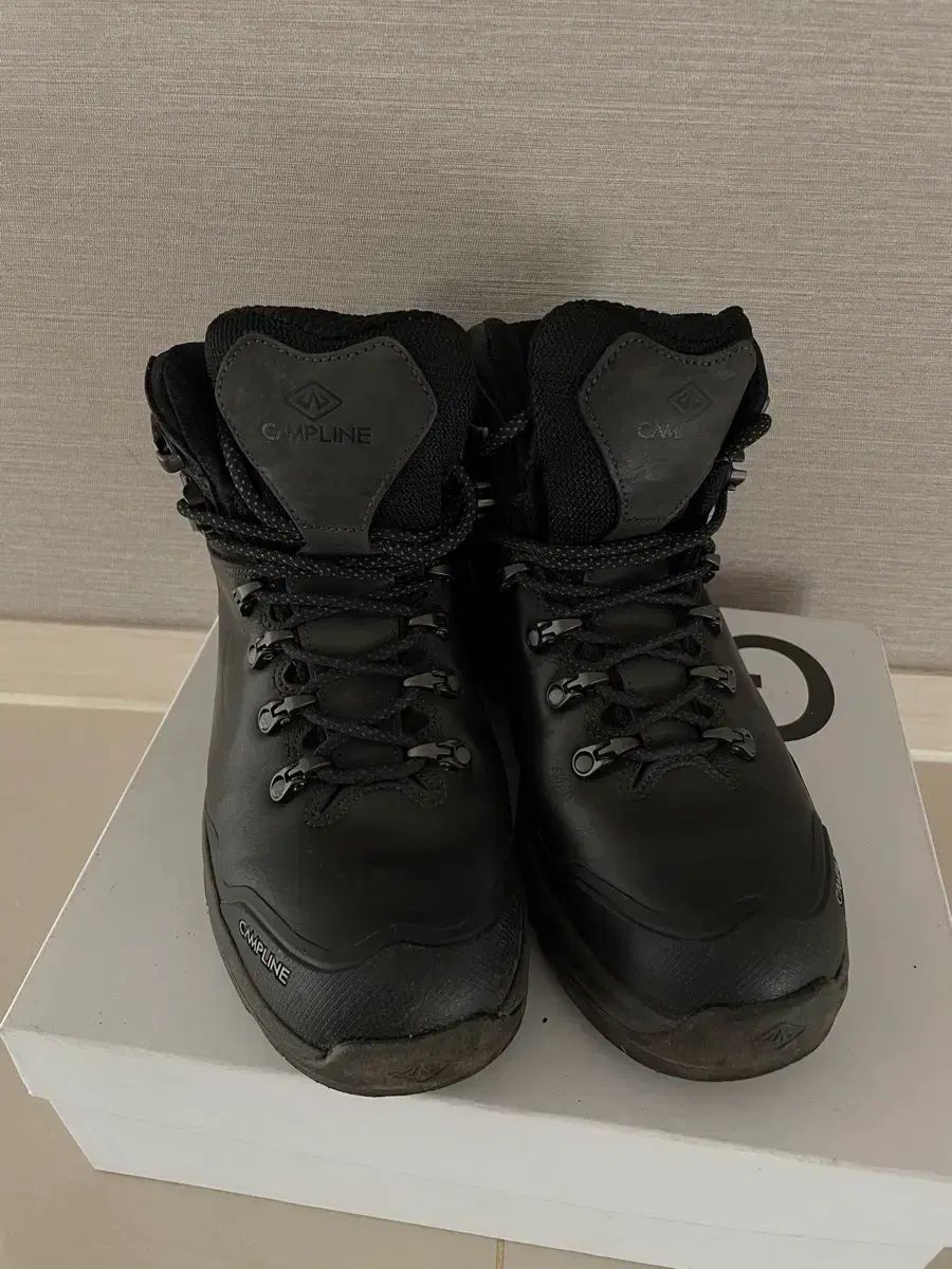 ブラックストーム