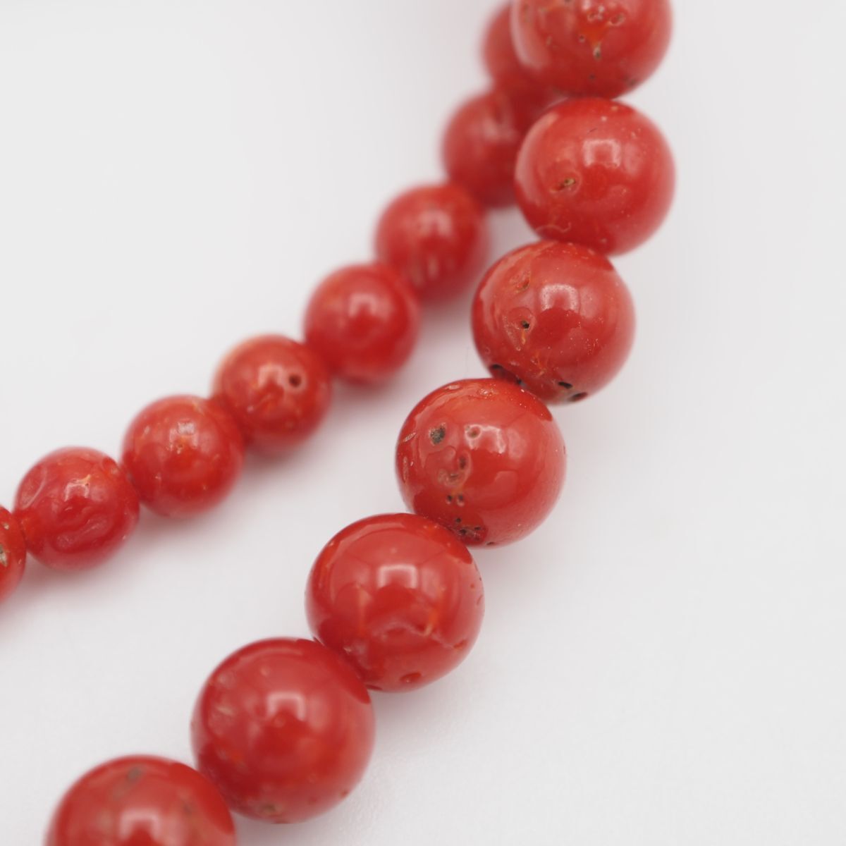 Q554 赤珊瑚 サンゴ G.SILVER刻印 ネックレス デザイン シルバー 3月