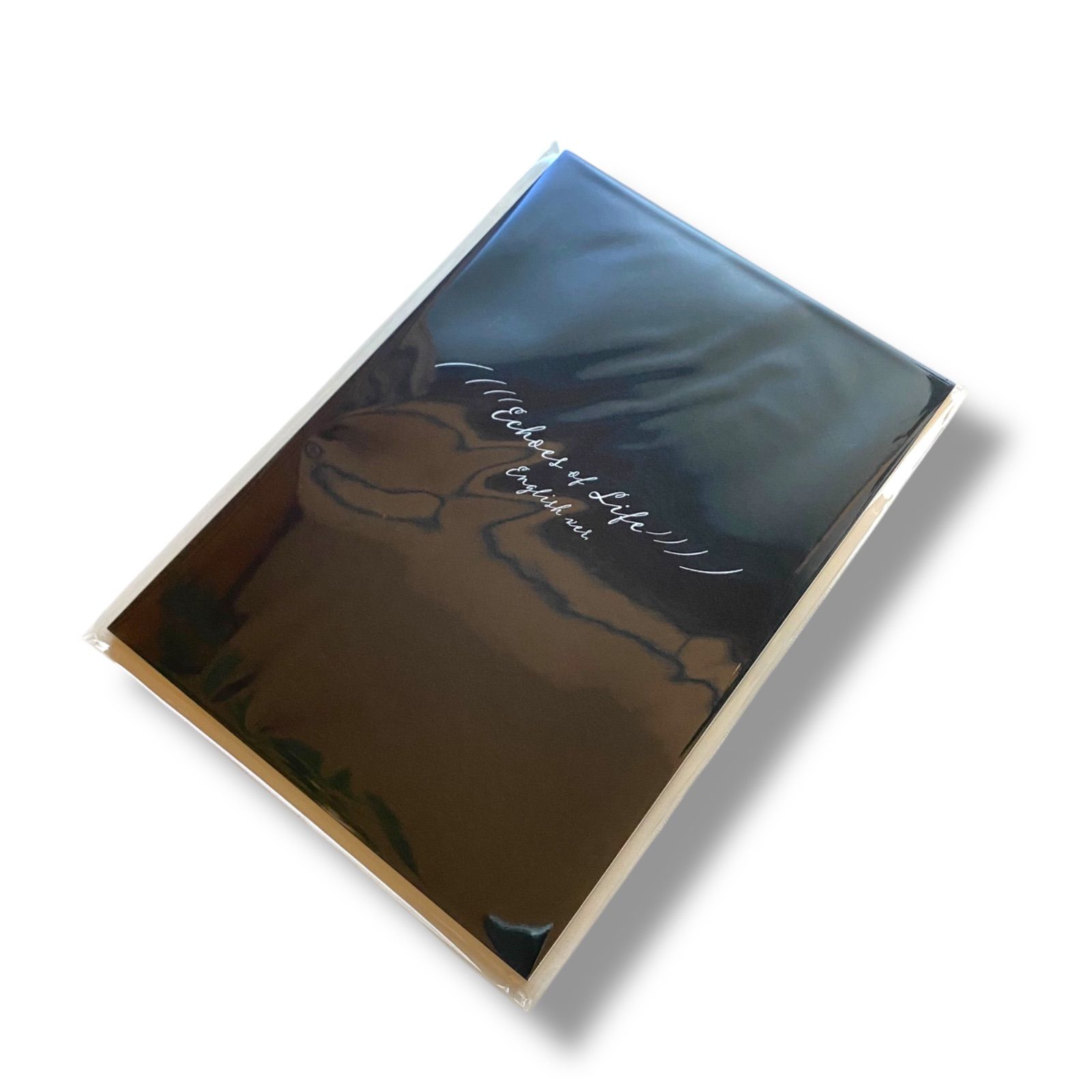 新品未使用 STORY BOOK 『Echoes of Life』(English ver.) 羽生結弦
