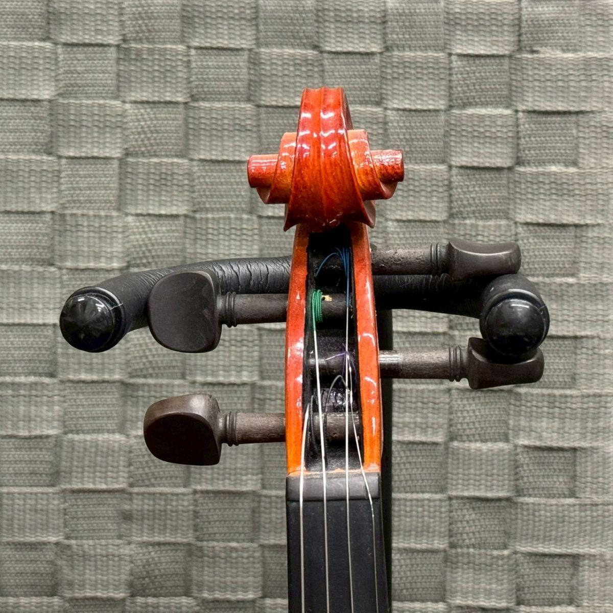61p2☆美品♪Stentor ステンター Student Standard スチューデント 61p2☆美品♪Stentor ステンター Student Standard スチューデント