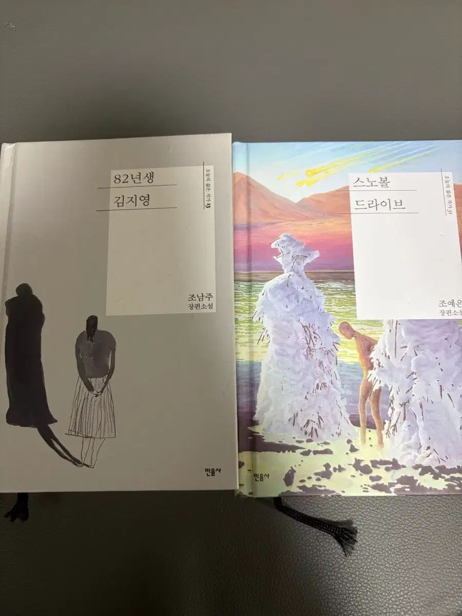 小説 本 2冊 まとめ