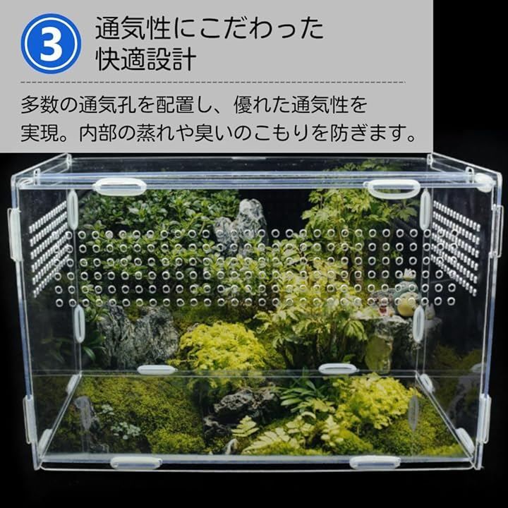 乾燥地帯ビバリウム　爬虫類ケース　ケージ　カナヘビ　トカゲ ateena 爬虫類 ケージ 飼育ケース 水槽 レプタイル 飼育セット