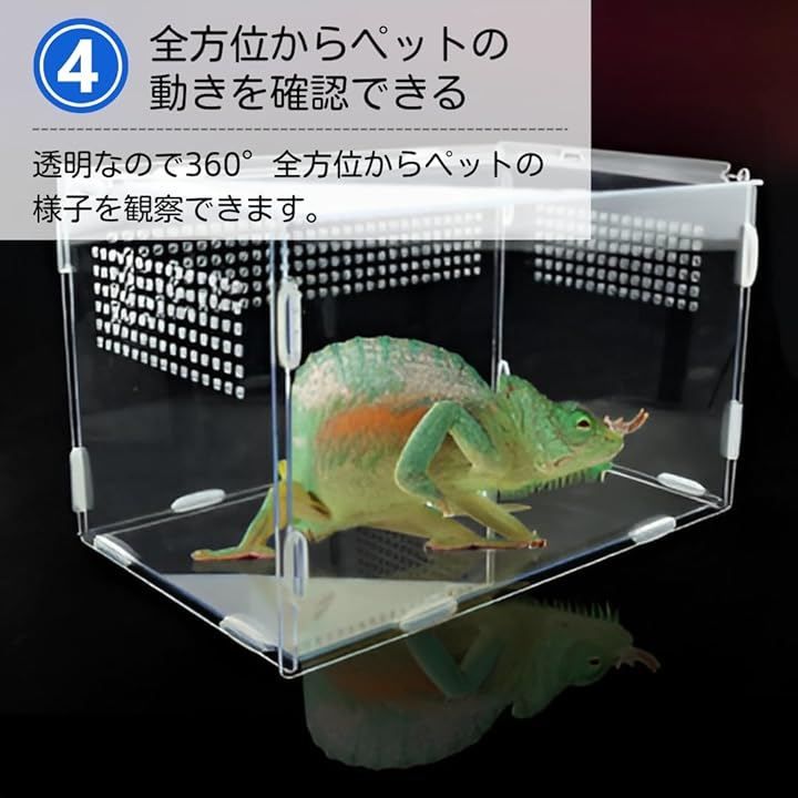 ateena 爬虫類 ケージ 飼育ケース 水槽 レプタイル 飼育セット