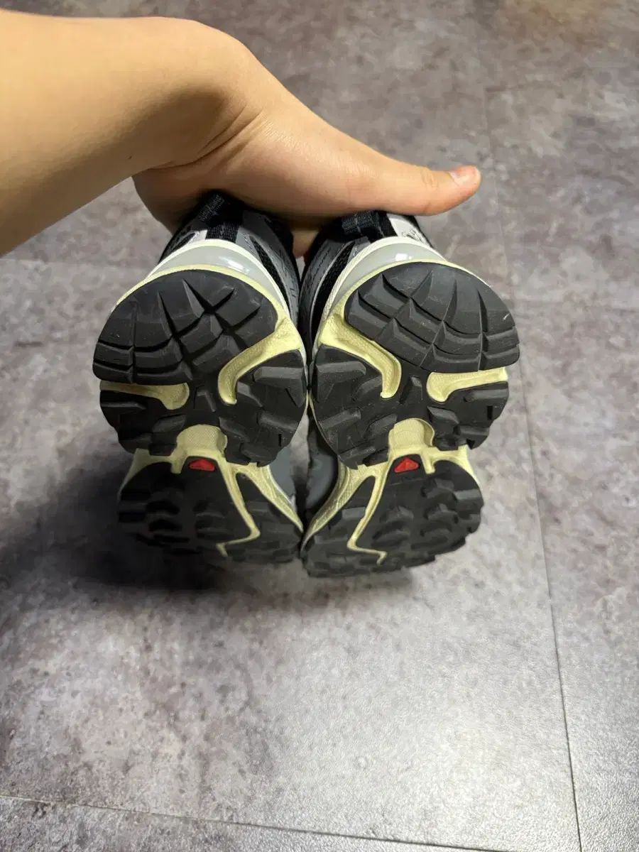  サロモン XT 6 エクスペンス アロイ クワイエット YOUTH IN THE SHADE Ver 240 登山靴 トレッキングシューズ アウトドアシューズ