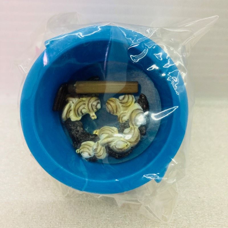 袋未開封品】【5種セット】【希少品】たのしい飼育当番 その2 アサリ