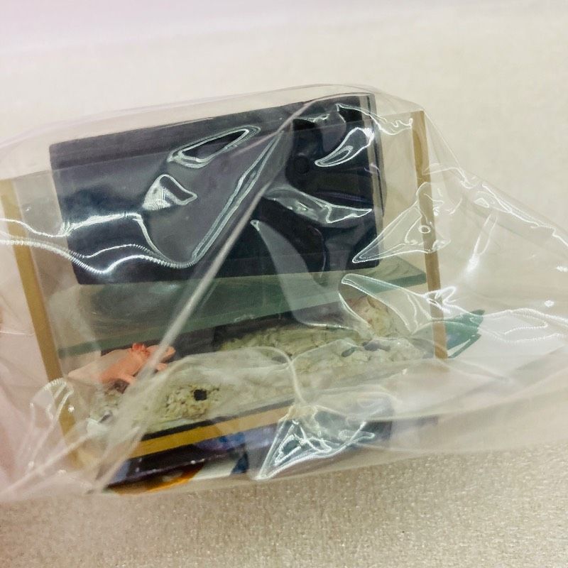 袋未開封品】【5種セット】【希少品】たのしい飼育当番 その2 アサリ