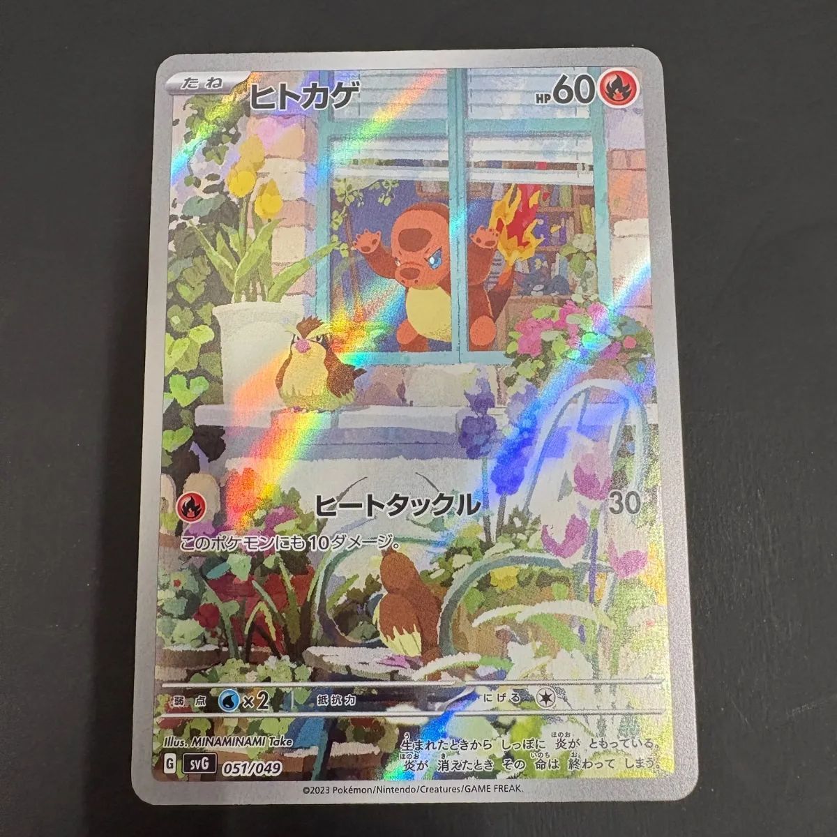 ヒトカゲ(AR仕様)【-】{051/049} [SVG] ヒトカゲ（AR仕様）【SVG】（051/049） - メルカリ