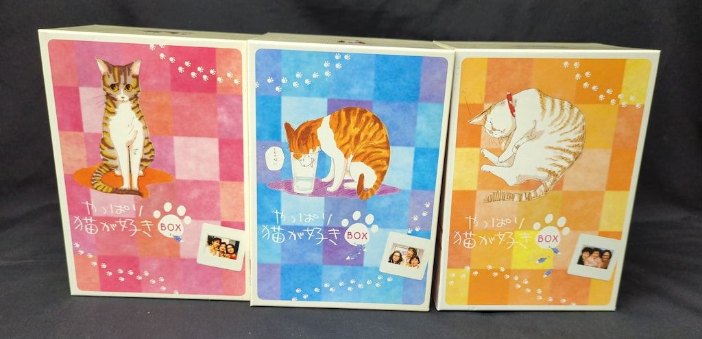 やっぱり猫が好き