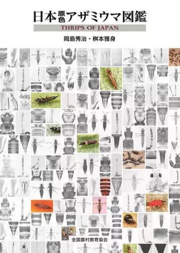 【中古】単行本(実用) ≪動物学≫ 日本原色アザミウマ図鑑 / 岡島秀治 / 桝本雅身