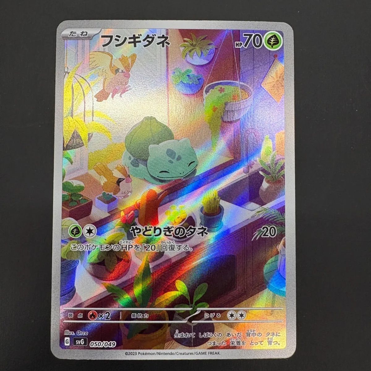 フシギダネ（AR仕様）【SVG】（050/049） - メルカリ