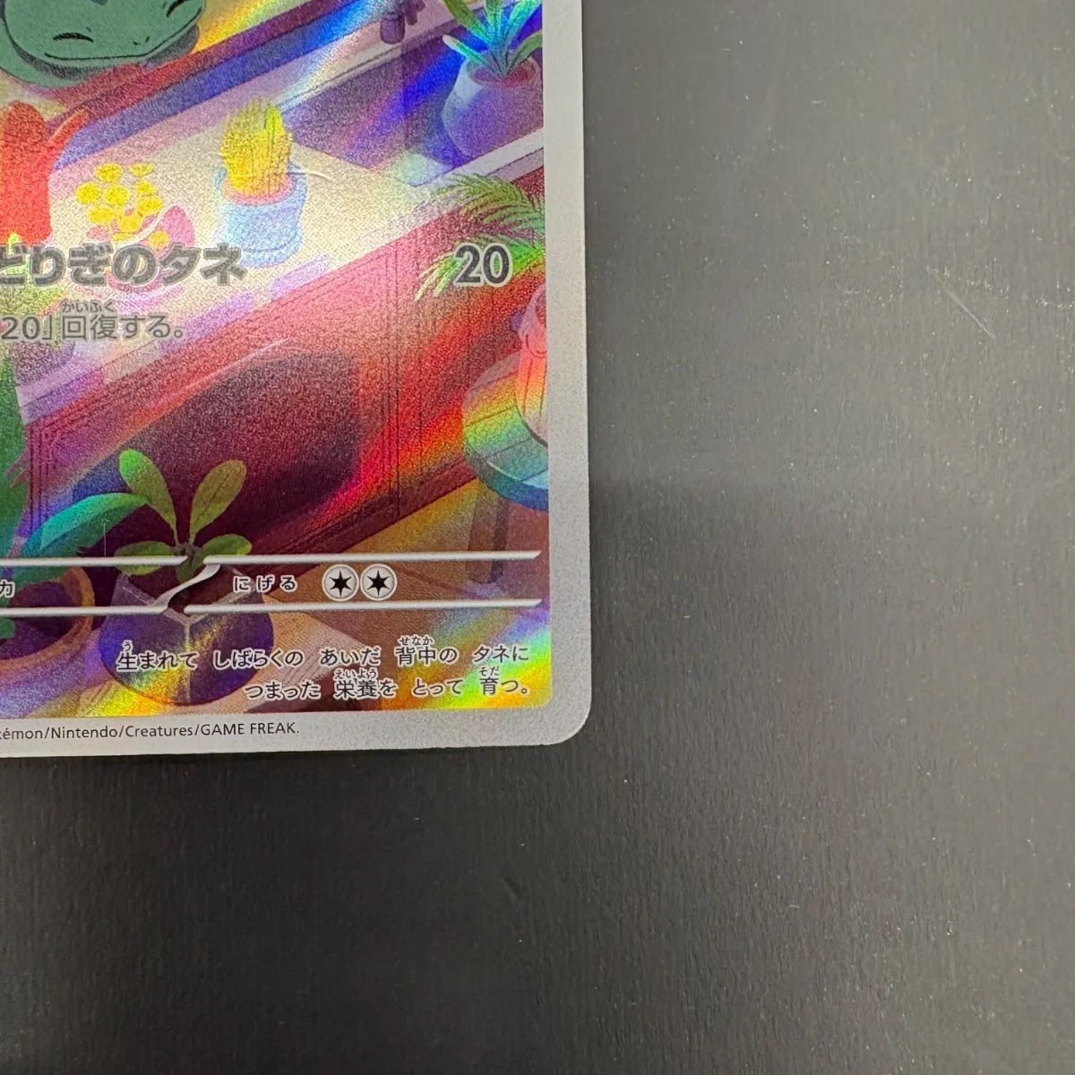 フシギダネ（AR仕様）【SVG】（050/049） - メルカリ