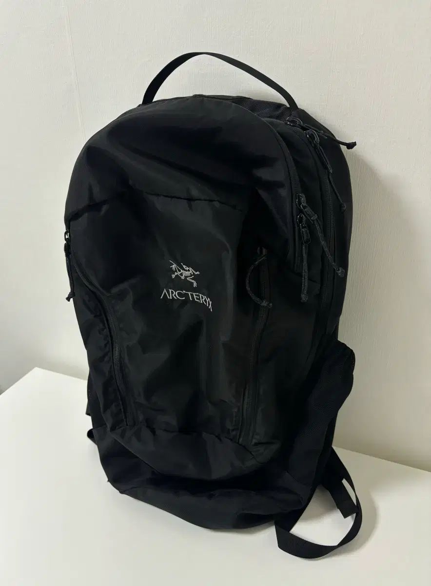 ARC TERYX アークテリクス マンティス Mantis 26 旧モデル