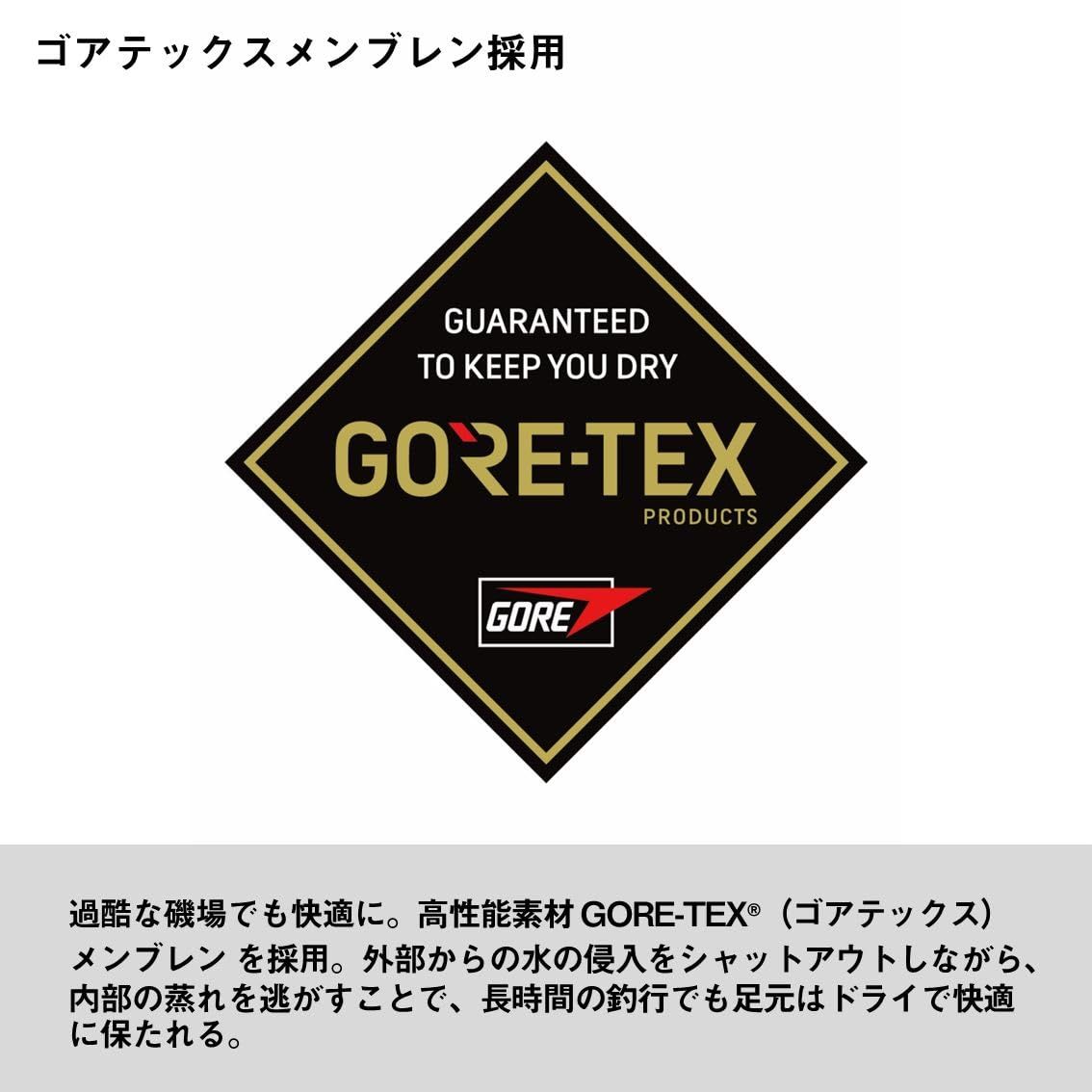  DAIWA タングステンピン搭載ロックショアゴアテックスシューズ ＤＳ ３６５０Ｇ ＴＧ グレー 29 cm スパイクフェルト その他 釣り仕掛け 仕掛け用品