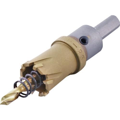 ロブテックス 超硬ホルソー 22 mm HO G