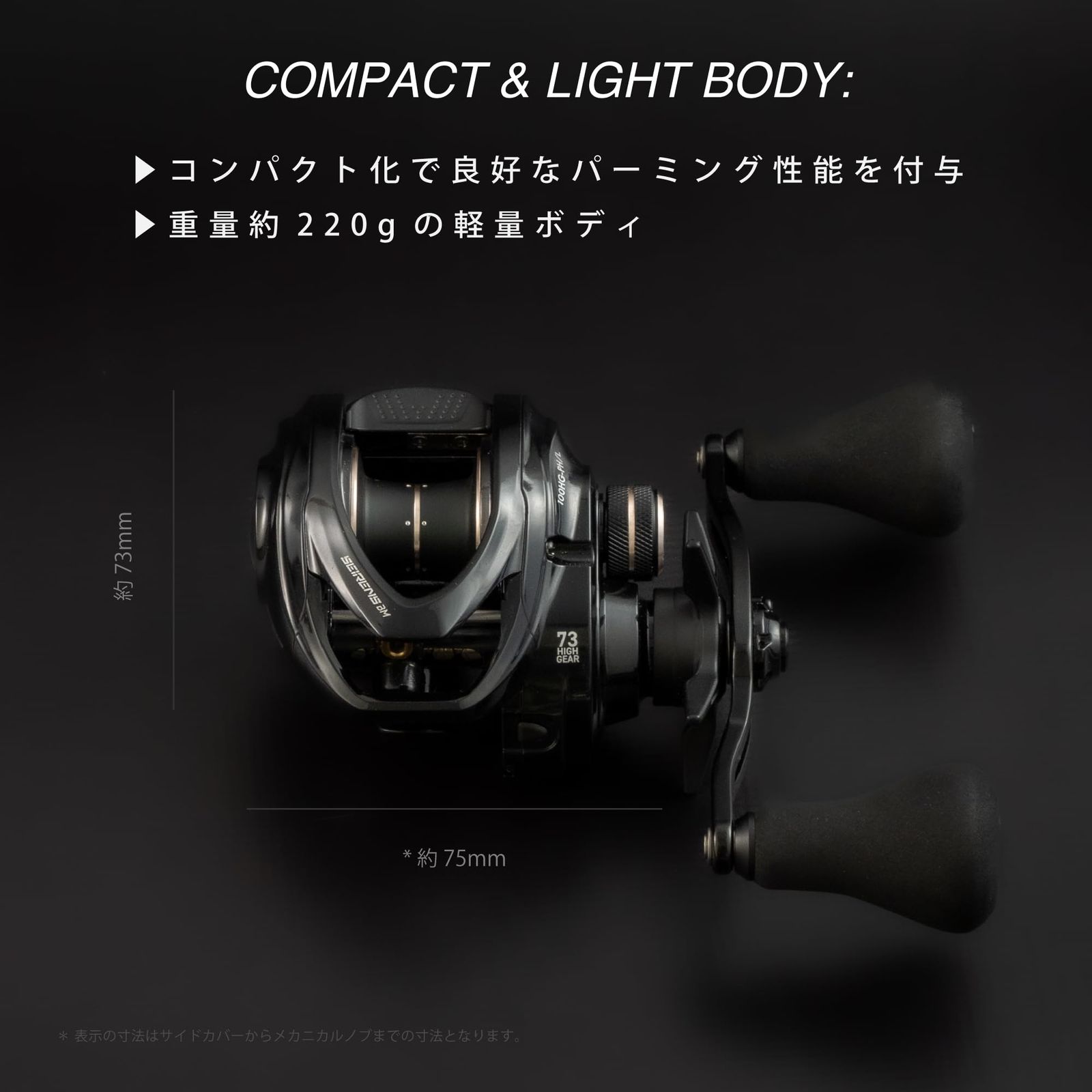  テイルウォーク Tailwalk 両軸リール セイレンス BM SEIRENS オフショア 船 リール 100 HG PH R その他 釣り仕掛け 仕掛け用品