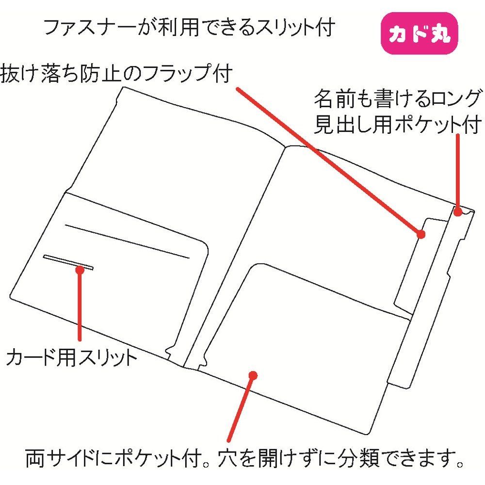 リヒトラブ カルテフォルダー フラップ付 ダブル 入 A 4 HK 2006