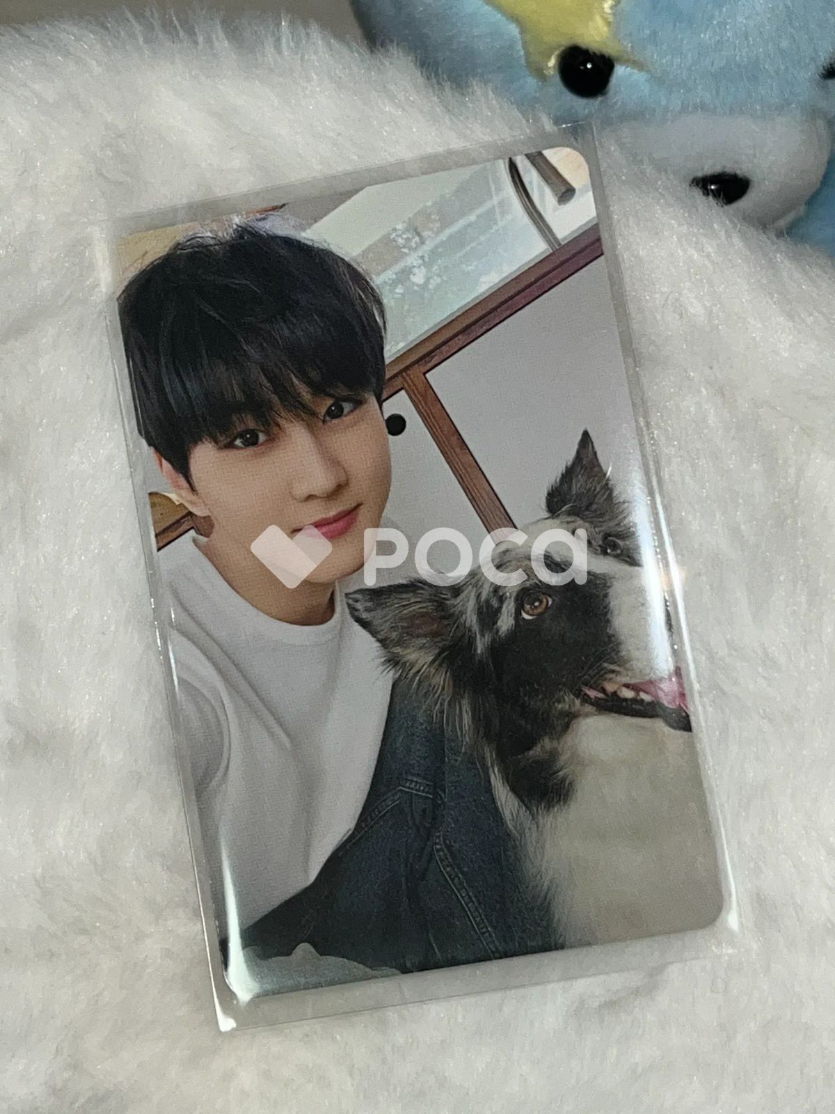 ENHYPEN ジョンウォン JAPAN 2025 앙케이트