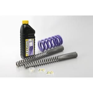 アクティブ ACTIVE コンビKIT ローダウンタイプ 約-20 mm TMAX 560 TECHMAX ABS 20-23