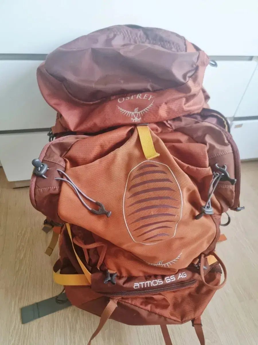 オスプレイ OSPREY Atmos 65 AG 登山 リュックサック