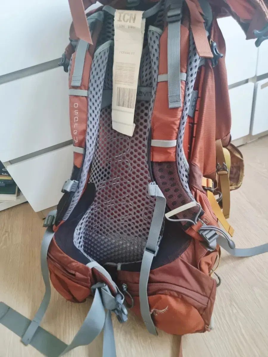 オスプレイ OSPREY Atmos 65 AG 登山 リュックサック