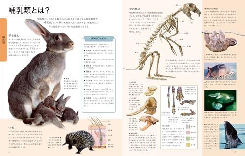 世界の動物大図鑑po
