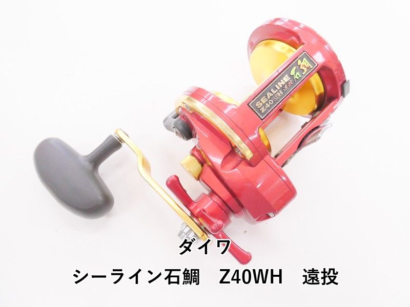 ダイワ シーライン石鯛 Z 40 WH 遠投 04