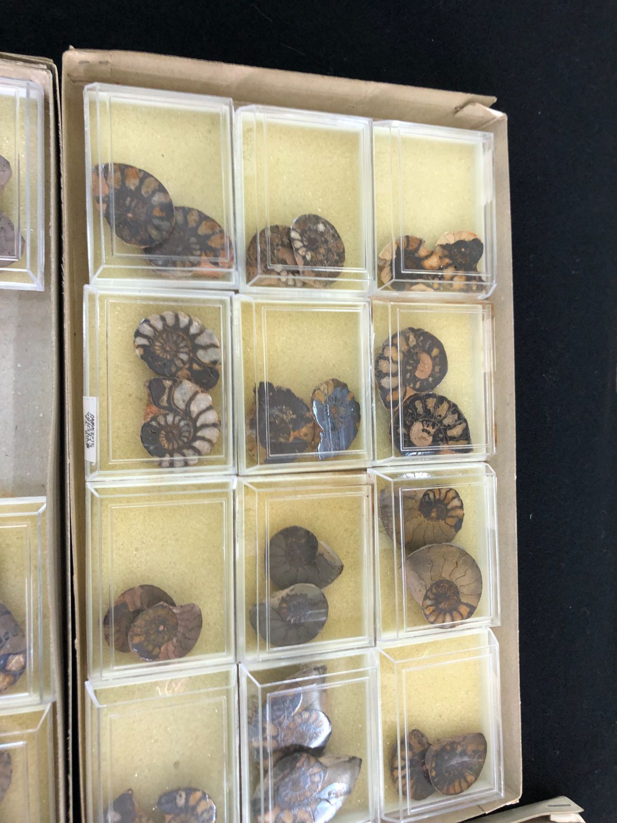  AMMONITE Pair BOX Morocco産 はさみ収納 置物 インテリア小物