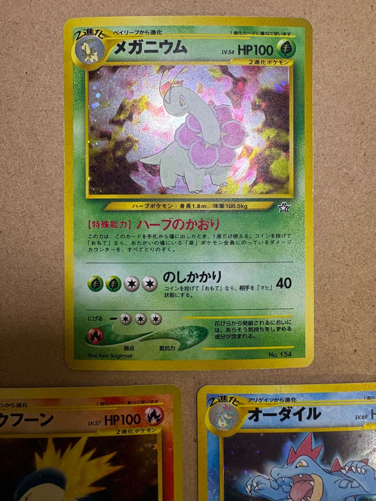 旧裏 neoプレミアムファイルのメガニウム＆バクフーン＆オーダイル