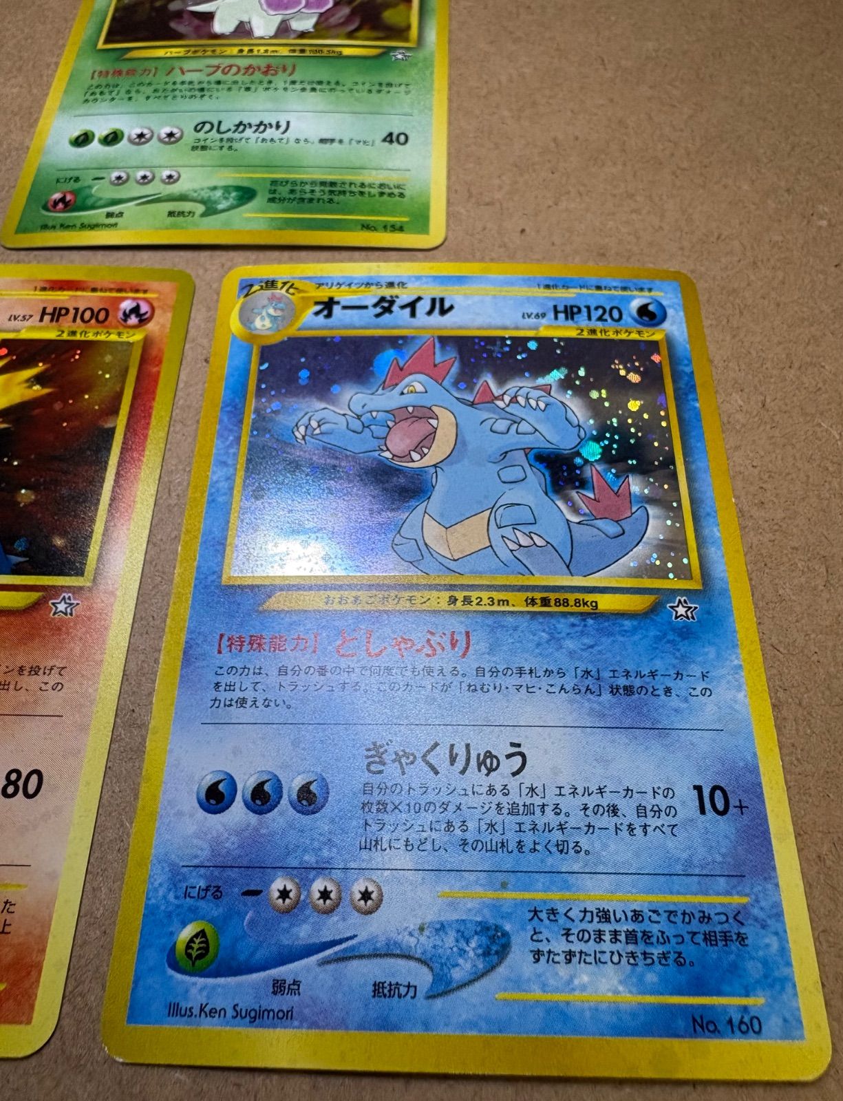 メガニウム　バクフーン　オーダイル　旧裏　プレミアムファイル　neo neoプレミアムファイルのメガニウム＆バクフーン＆オーダイル ポケモン