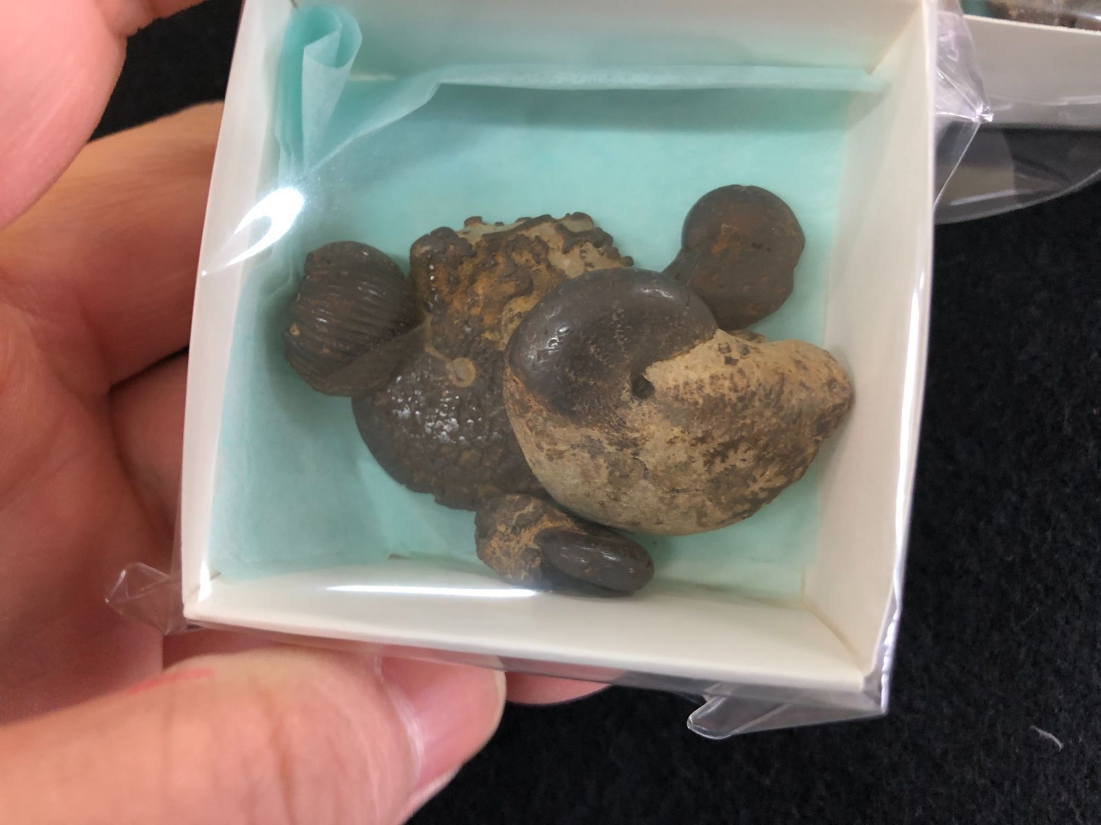  AMMONITE BOX Morocco産 鉛筆立て 置物 インテリア小物