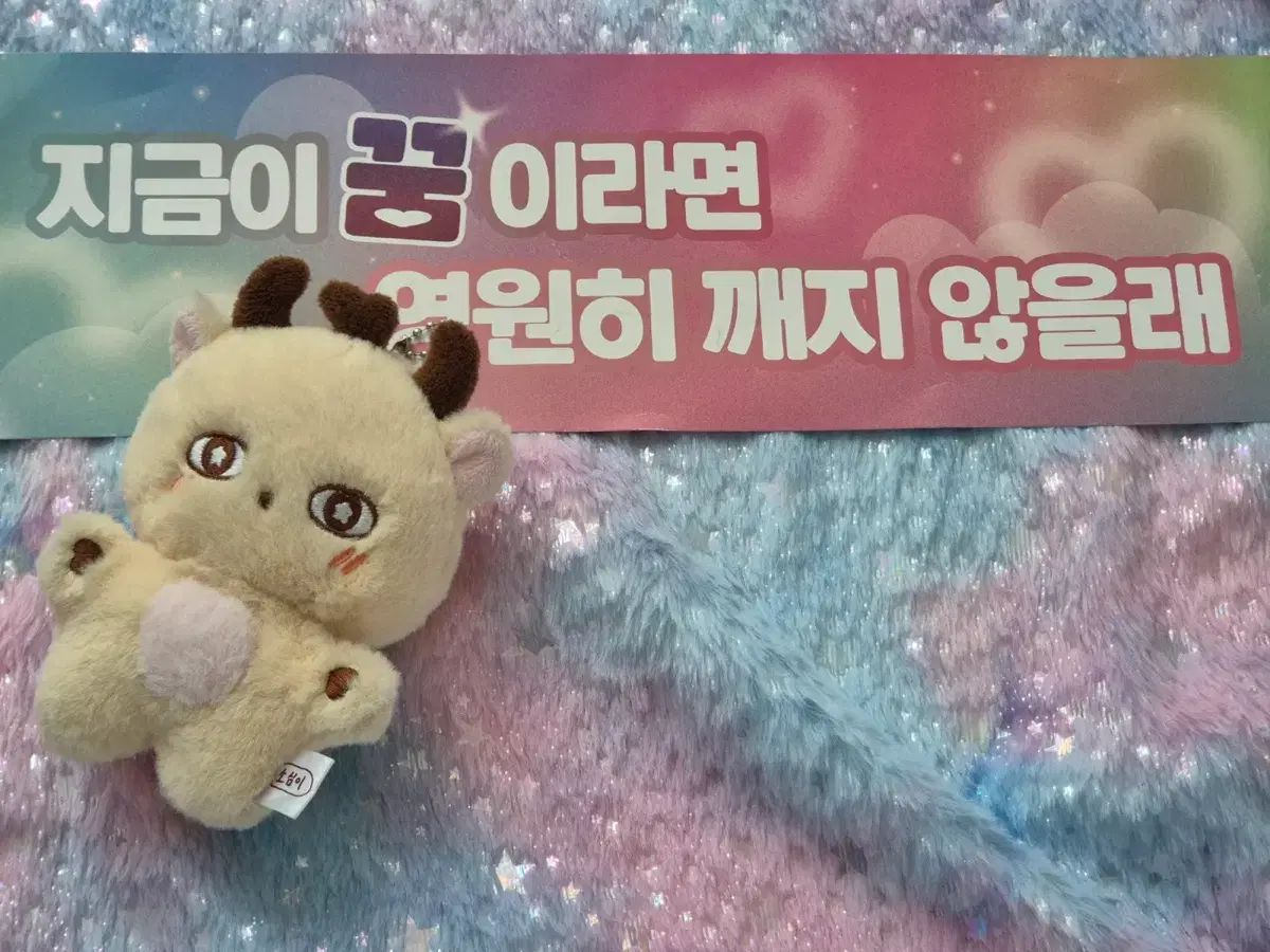 パク ジフン PARK JIHOON 소심이ぬいぐるみ ファンミーティングスローガン