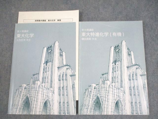 【通年分】東大特進化学　大西哲男先生　鎌田真彰先生 東進 東京大学 東大特進コース 東大化学/特進化学(有機) テキスト 2019