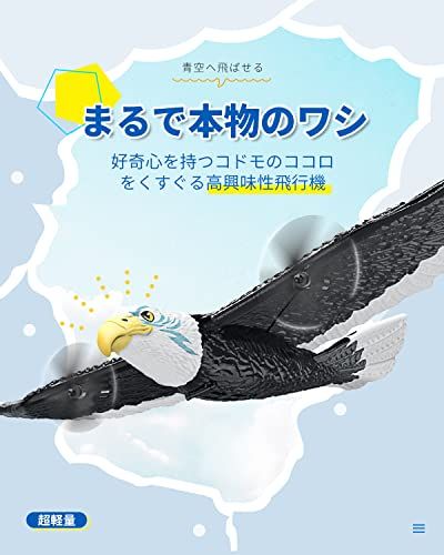 ラジコン グライダー ラジコン飛行機 RC飛行機 子供 初心者向け バッテリー EPP素材 軽量 耐久性 耐衝撃性 6軸 2 4 Ghz 制御2 CH おもちゃ プレゼント 贈り物 取扱説明書 FX 651 po 941 e 44 ba