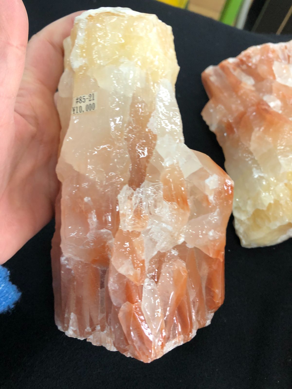 ファイヤーカルサイトBOX