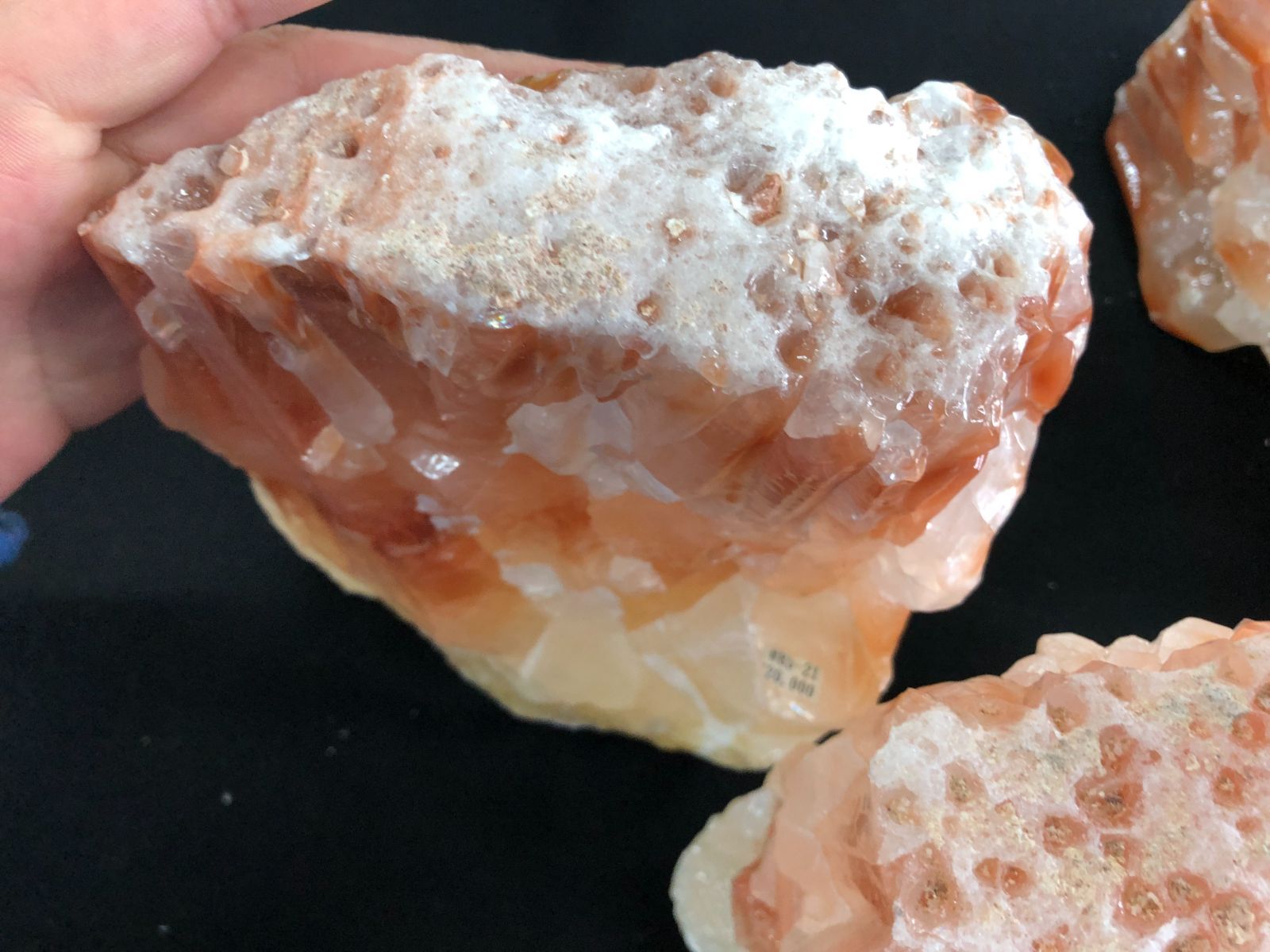 ファイヤーカルサイトBOX