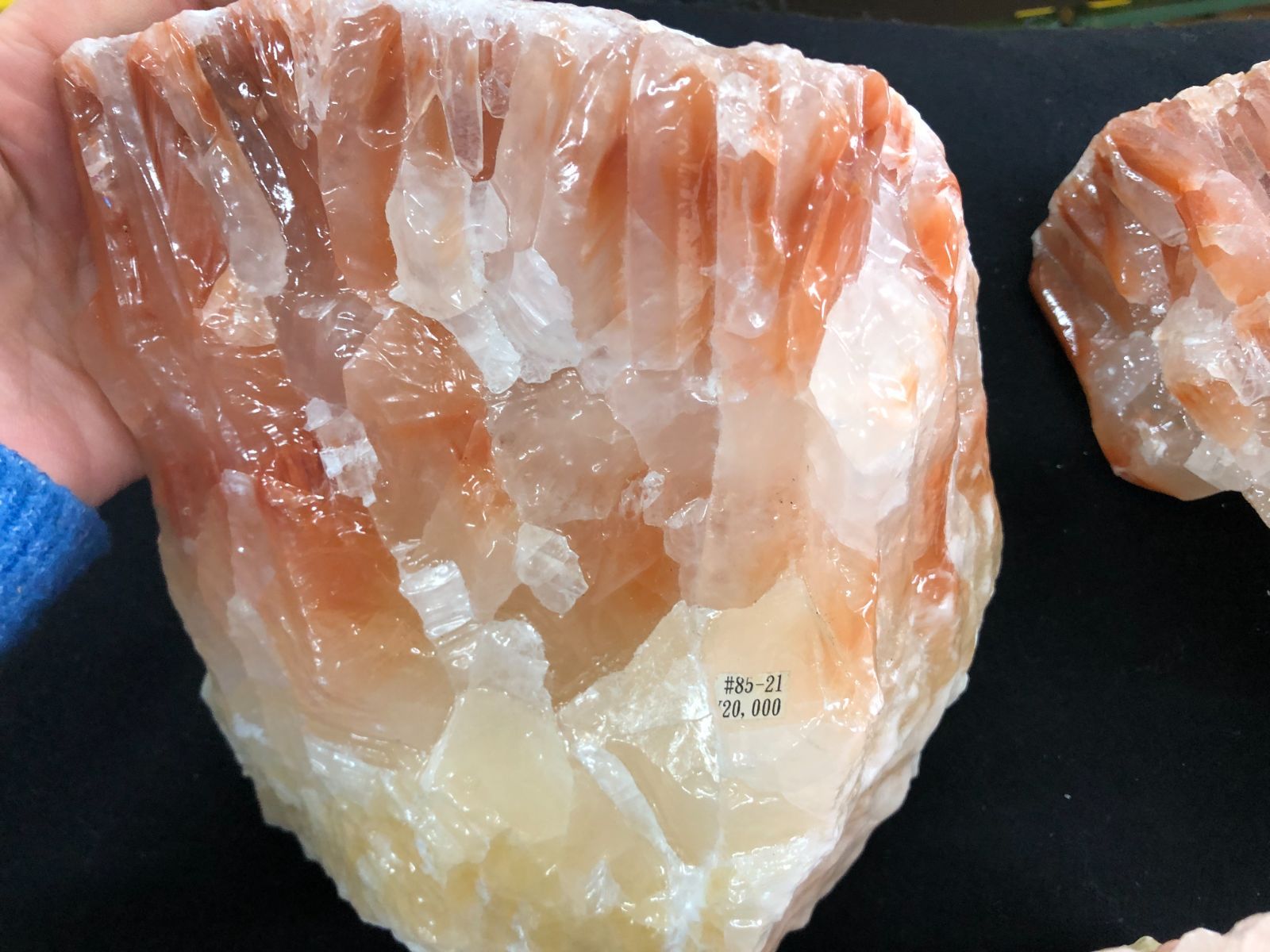 ファイヤーカルサイトBOX MEXICO産