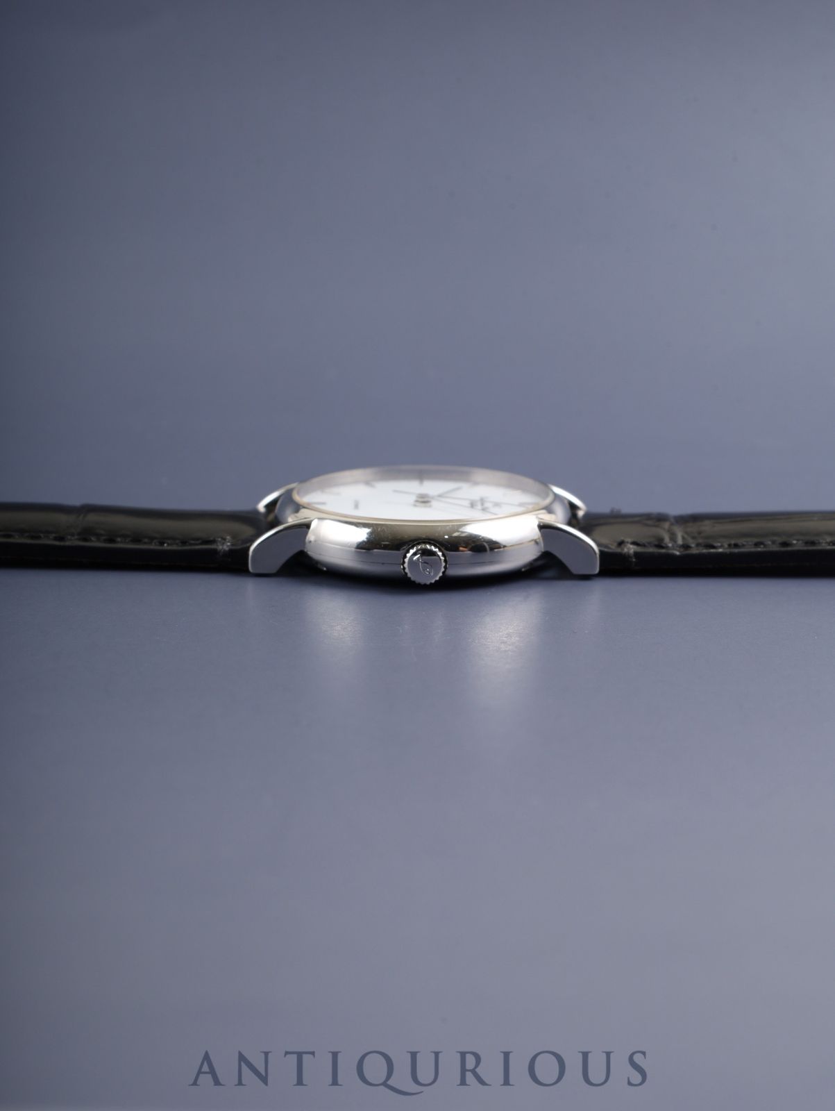 IW351320 自動巻き