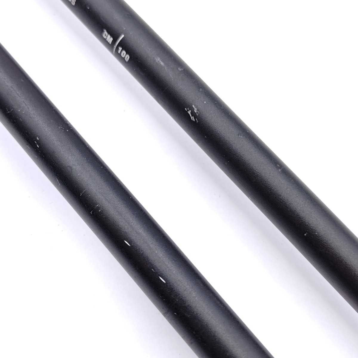 トレッキングポール 100