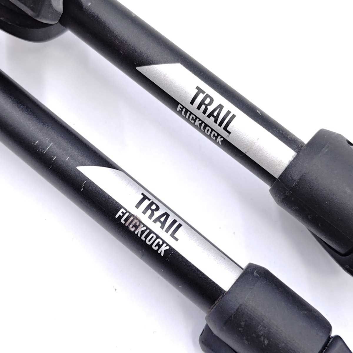 トレッキングポール 100