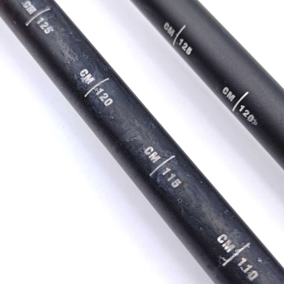  ブラックダイヤモンド TRAIL トレッキングポール 100 140 BlackDiamond アウトドアストック トレッキングポール 登山 クライミング用品