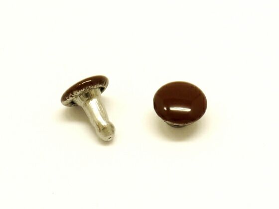 【箱売り】両面カシメ 小 茶 φ6mm｜足の長さ6mm 2000ヶ まとめ買い（業販） カシメ箱売り レザークラフトぱれっと