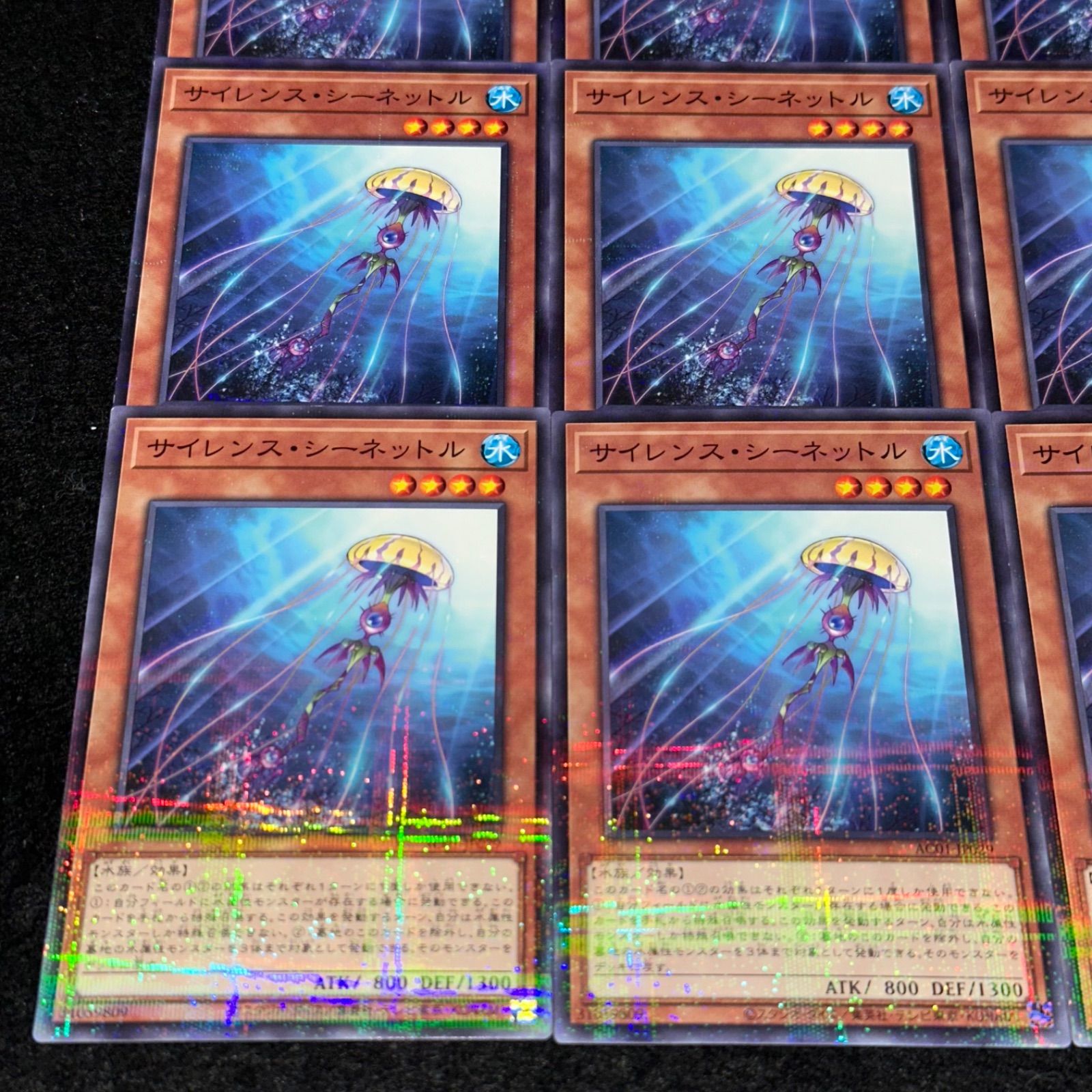 遊戯王】No.3876 サイレンスシーネットル ノーマルパラレル ノーパラ