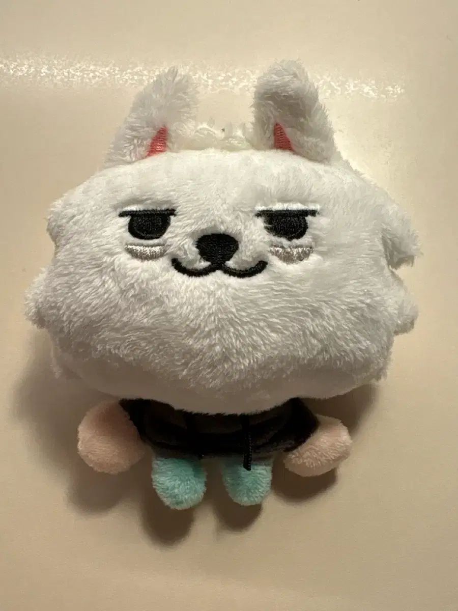 뿔바투 1차 TOMORROW X TOGETHER TXT スビン CHOI SUBIN チェスビン 최용몽 ぬいぐるみ キーリング ぬい