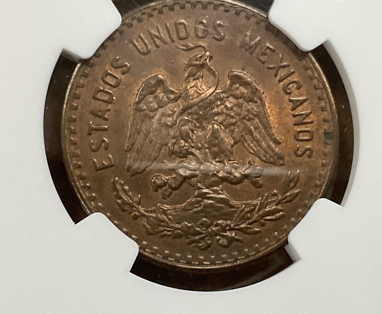 1927年 Mo 5C メキシコ 5センタボ ブロンズ NGC MS 64 BN 未使用 BU