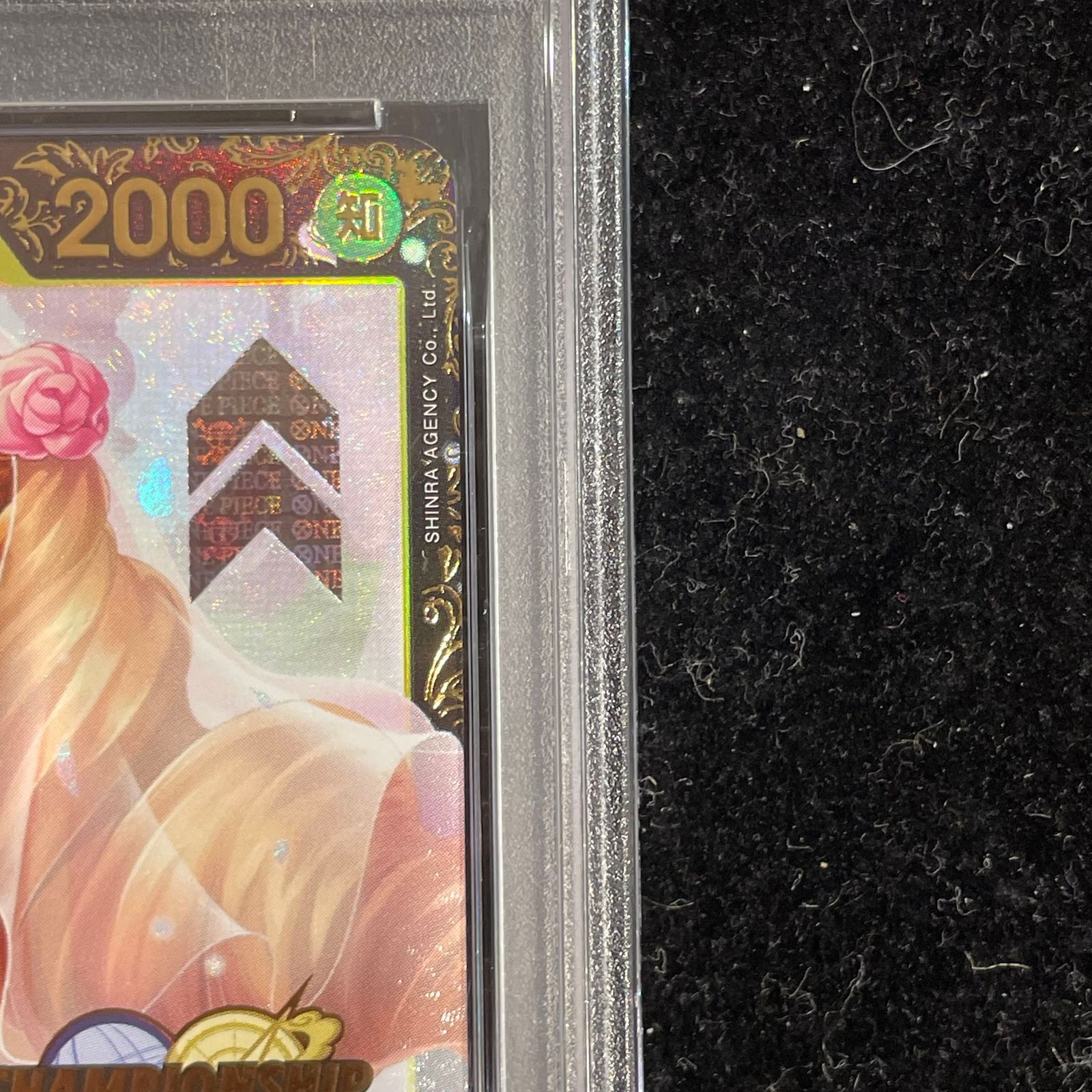 PSA10】シャーロット・プリン パラレルイラスト版 チャンピオンシップ