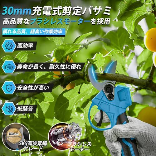 新モデル たかえだ 電動 チェーンソー 充電式 6インチブラシレス 高枝チェーンソー 電動バサミ 剪定ハサミ セット 4 0 Ah大容量バッテリー 1台4役 高枝切り剪定ばさみ コードレス ハンド 強力 ブラシレスモーター 残電 ca a 2000