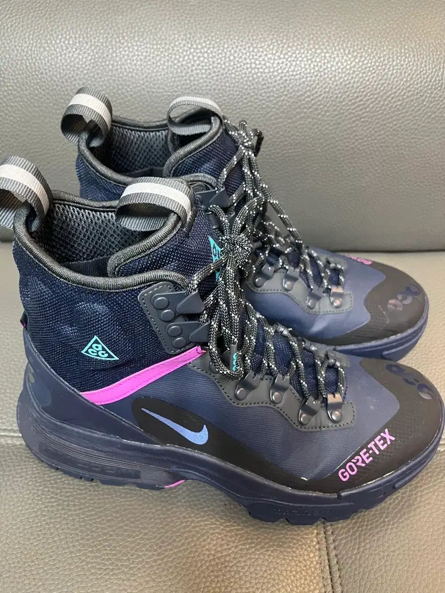 ナイキACGガイアドーム250